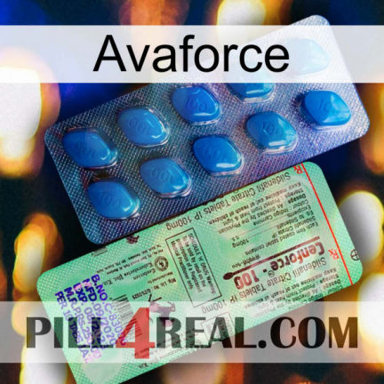 Avaforce new02